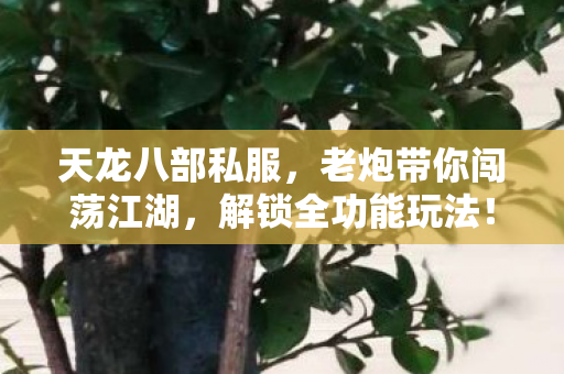 老炮带你闯荡江湖图片