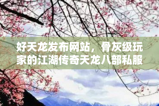 骨灰级玩家的江湖传奇天龙八部私服图片