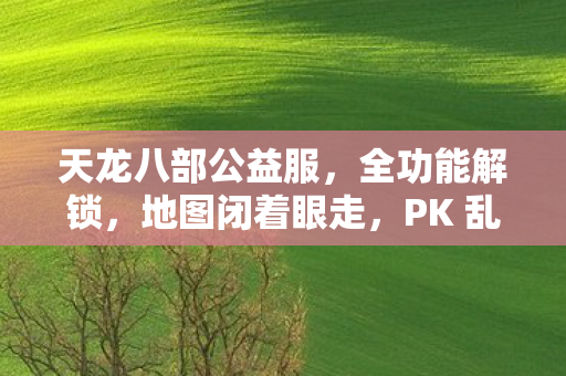 重回江湖巅峰天龙私服图片