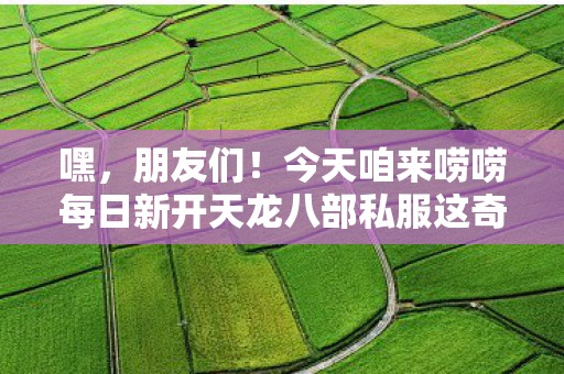 今天咱来唠唠每日新开天龙八部私服这奇妙世界里的那些事儿图片