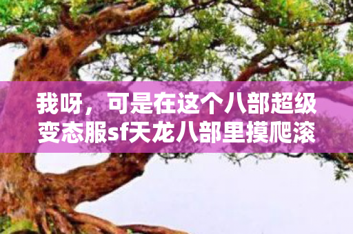 可是在这个八部超级变态服sf天龙八部里摸爬滚打了一两年的技能发烧友图片