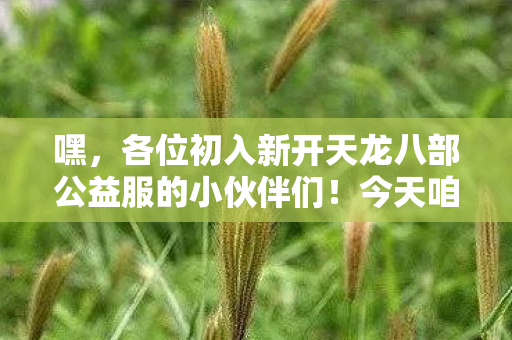 今天咱就来唠唠这游戏里那些让人又爱又恨的事儿图片