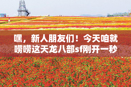 今天咱就唠唠这天龙八部sf刚开一秒的那些事儿图片