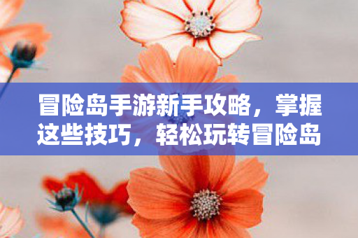 冒险岛手游新手攻略图片