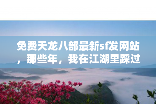 我在江湖里踩过的坑与摸出的门道天龙八部私服图片