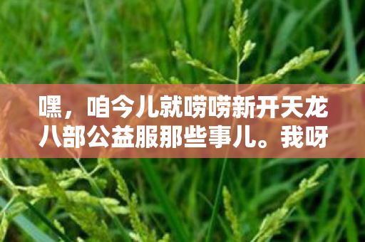 咱今儿就唠唠新开天龙八部公益服那些事儿图片