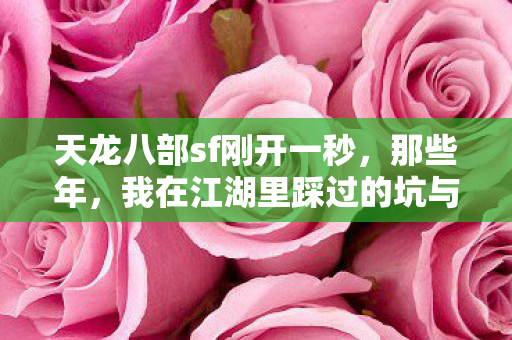 我在江湖里踩过的坑与摸出的门道天龙私服图片