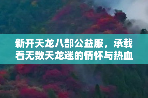 就来跟大家唠唠我这两年在新开天龙八部公益服里摸爬滚打的血泪史图片