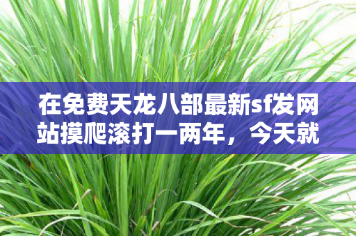 在免费天龙八部最新sf发网站摸爬滚打一两年图片
