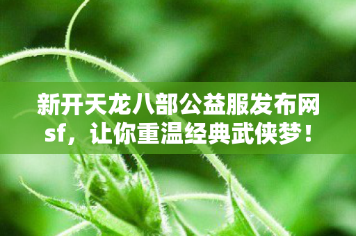 今天就来给大家讲讲我在这游戏里摸爬滚打两年的血泪史图片