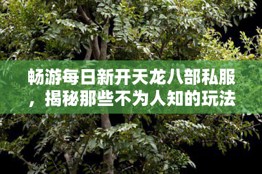 揭秘那些不为人知的玩法与套路天龙八部私服图片