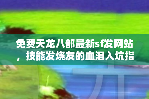技能发烧友的血泪入坑指南天龙私服图片