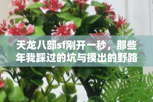 那些年我踩过的坑与摸出的野路子天龙私服图片