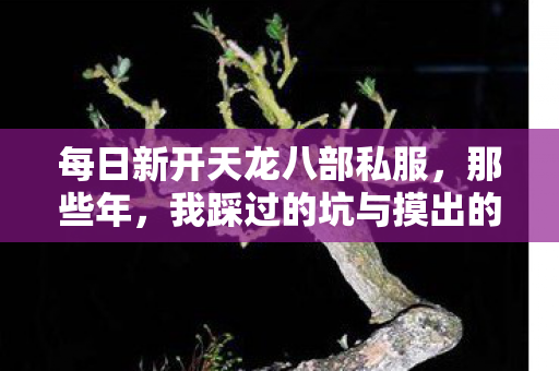 我踩过的坑与摸出的野路子天龙八部私服图片