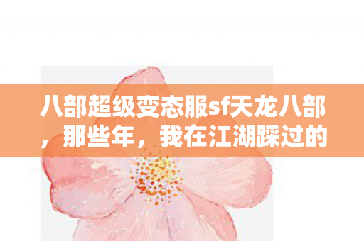 我在江湖踩过的坑天龙八部私服图片