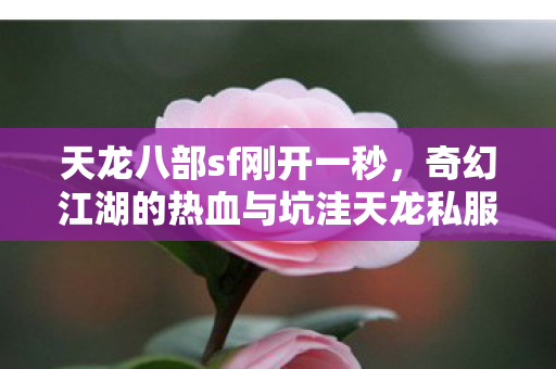 奇幻江湖的热血与坑洼天龙私服图片