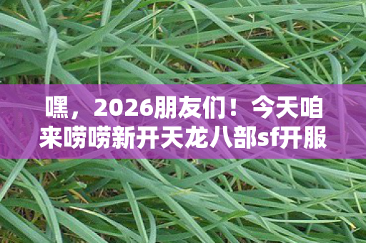 今天咱来唠唠新开天龙八部sf开服表那些事儿图片