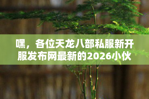 今天咱这副本版本玩法推土机可要给你们好好唠唠这两年在这新开服里摸爬滚打的血泪史图片