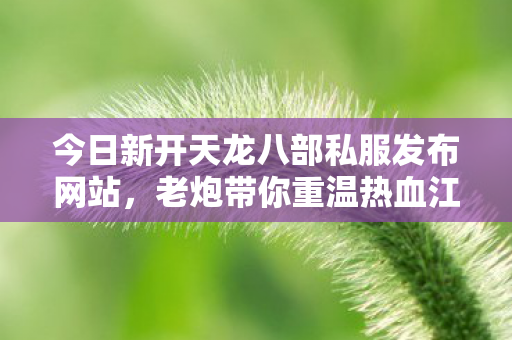 老炮带你重温热血江湖路天龙私服图片