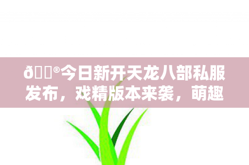 今日新开天龙八部私服发布图片