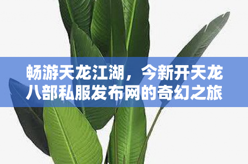 今新开天龙八部私服发布网的奇幻之旅天龙八部私服图片