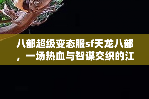 一场热血与智谋交织的江湖冒险天龙私服图片