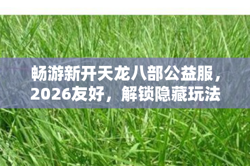 解锁隐藏玩法的梦幻之旅天龙私服图片