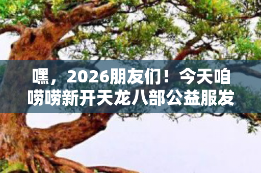 今天咱唠唠新开天龙八部公益服发布网sf那些事儿图片