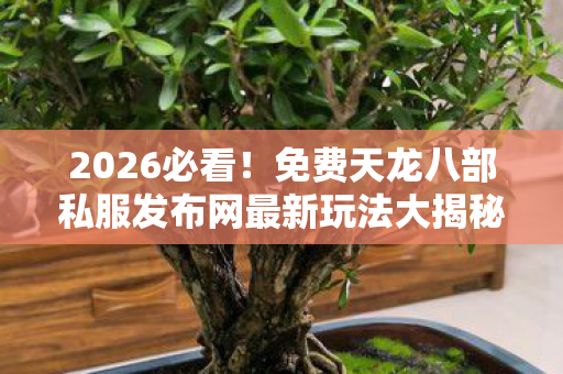 免费天龙八部私服发布网最新玩法大揭秘图片