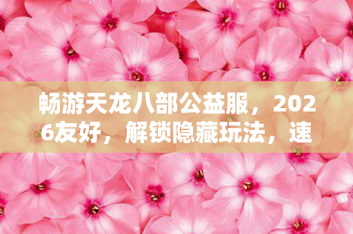 畅游天龙八部公益服图片