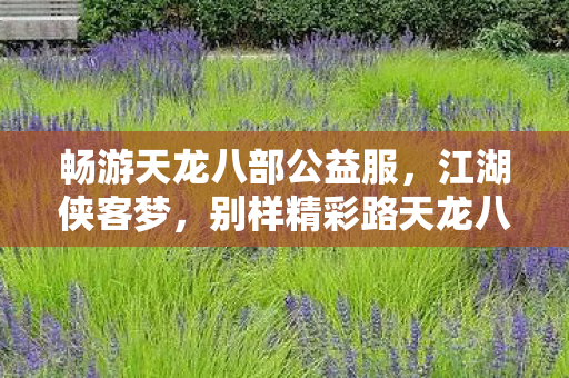别样精彩路天龙八部私服图片