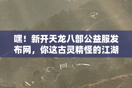 新开天龙八部公益服发布网图片