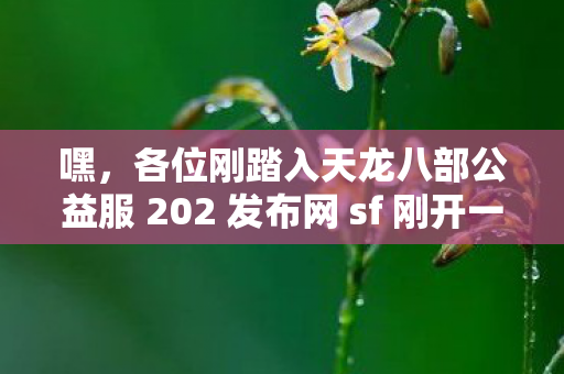 各位刚踏入天龙八部公益服 202 发布网 sf 刚开一秒世界的2026小伙伴们图片