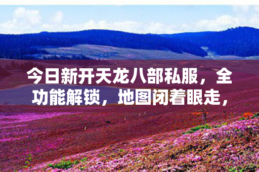 PK 乱杀的骨灰级玩法天龙私服图片