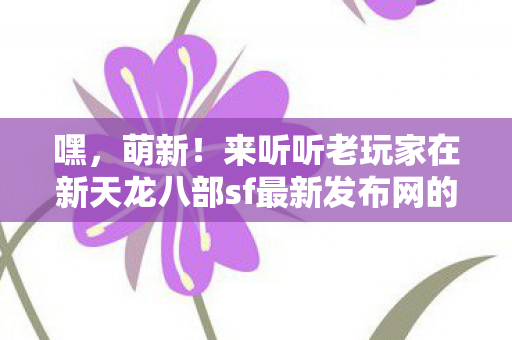 来听听老玩家在新天龙八部sf最新发布网的那些事儿天龙八部私服图片