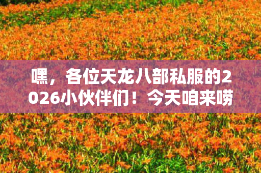 今天咱来唠唠那新开天龙八部私服开服表背后的那些事儿图片