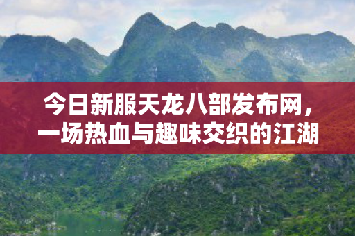 一场热血与趣味交织的江湖冒险天龙八部私服图片