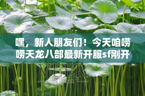 今天咱唠唠天龙八部最新开服sf刚开一秒这游戏里那些坑人的事儿图片
