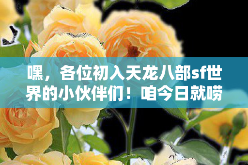 咱今日就唠唠这每日今日新开天龙八部sf里的那些事儿图片