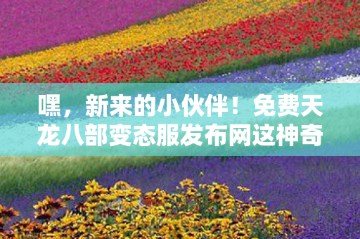 免费天龙八部变态服发布网这神奇世界图片