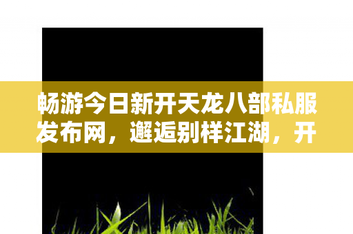 畅游今日新开天龙八部私服发布网图片