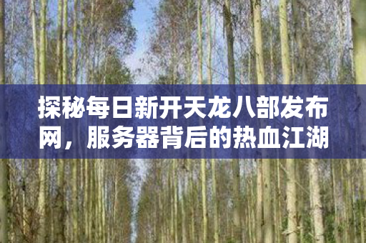 服务器背后的热血江湖与那些不为人知的坑天龙私服图片