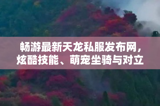 萌宠坐骑与对立阵营的奇妙冒险天龙八部私服图片