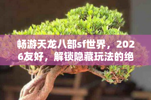 解锁隐藏玩法的绝佳之地天龙私服图片