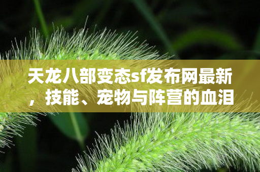 宠物与阵营的血泪入坑指南天龙私服图片