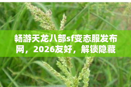 解锁隐藏玩法的宝藏之地天龙私服图片