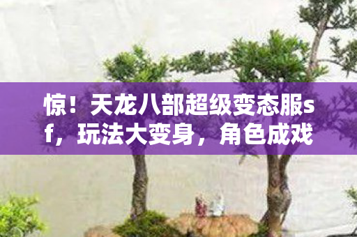 天龙八部超级变态服sf图片