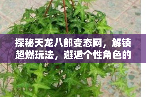 邂逅个性角色的奇幻江湖天龙私服图片