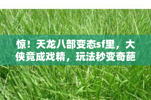 天龙八部变态sf里图片