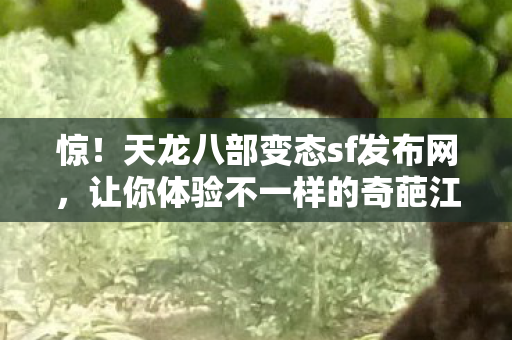 让你体验不一样的奇葩江湖天龙八部私服图片